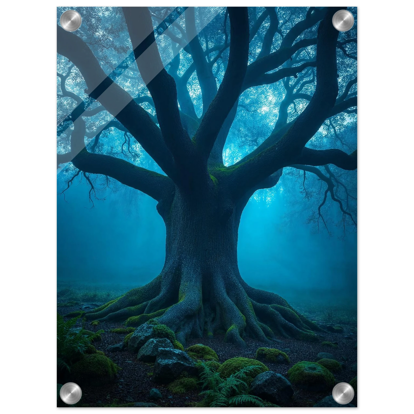 02d5cd26-5ed8-41f5-a694-36a107cc6ac8