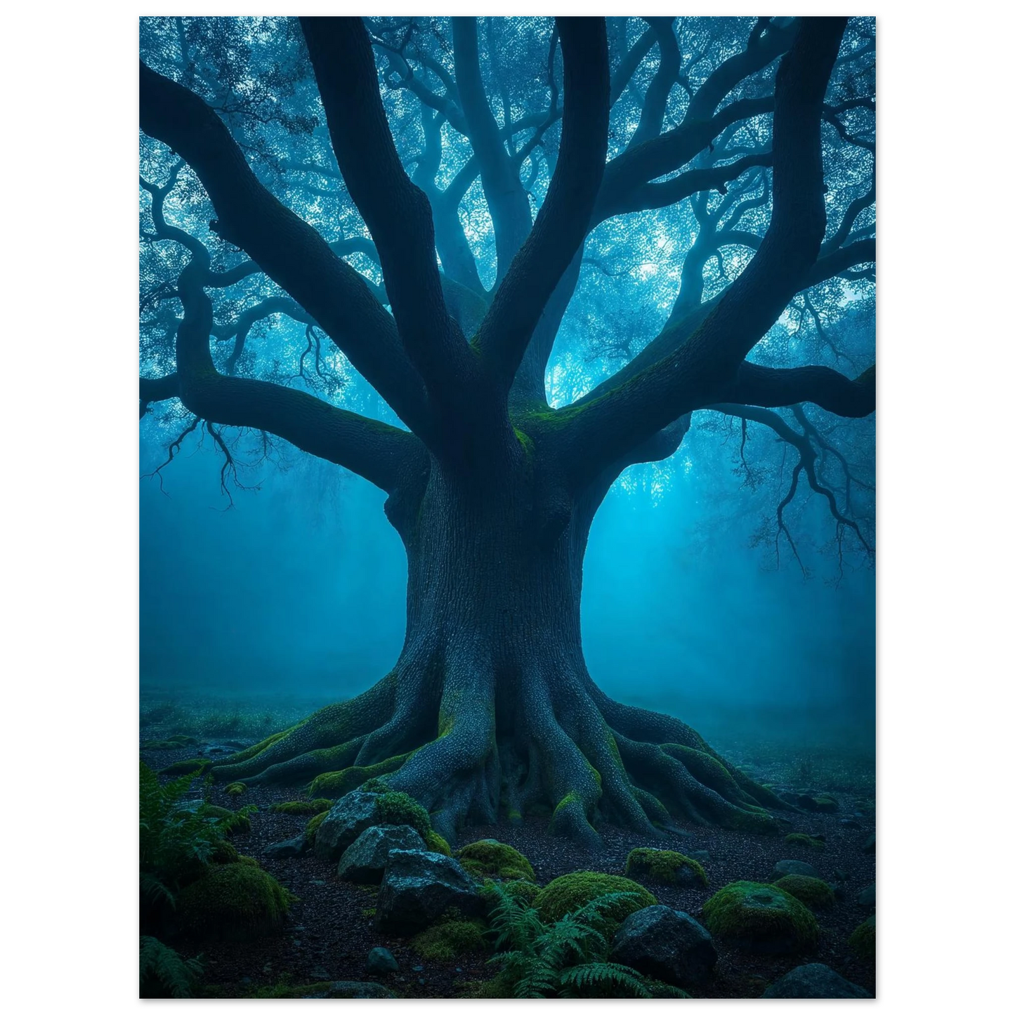 13aa747a-8bd1-47a2-b329-0e9215951e00