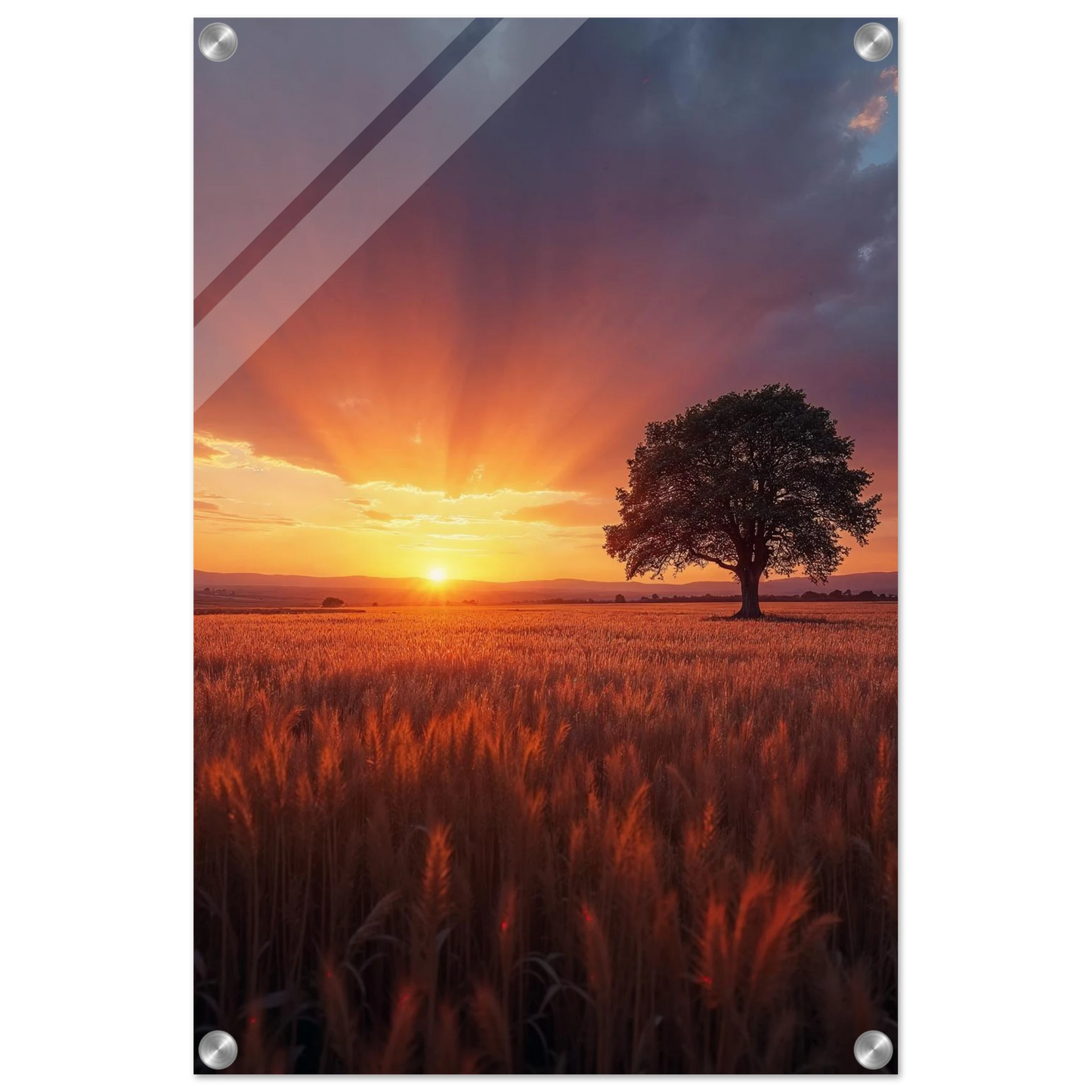 1ebe7181-f182-4feb-8024-d570e66c4dc6