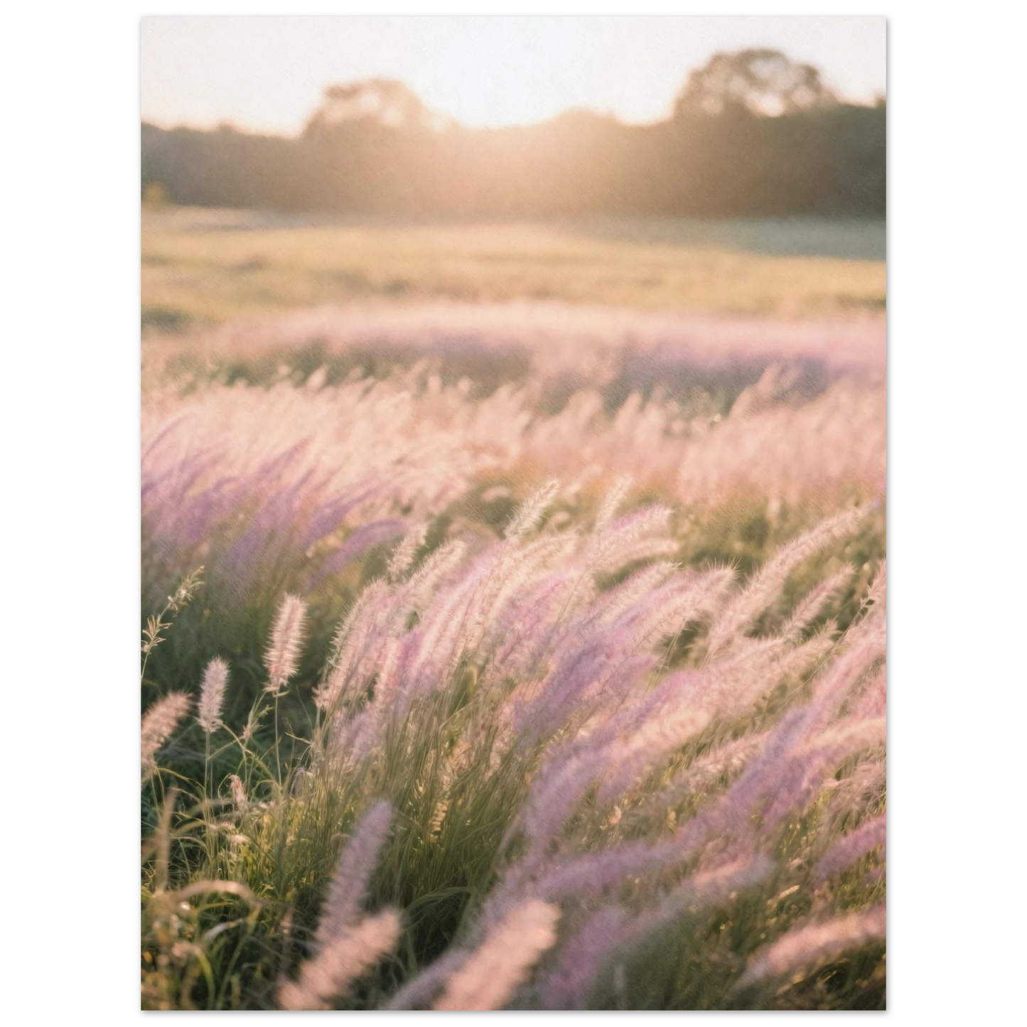 20c6220c-c31b-4383-94e2-60adc7cbaabe