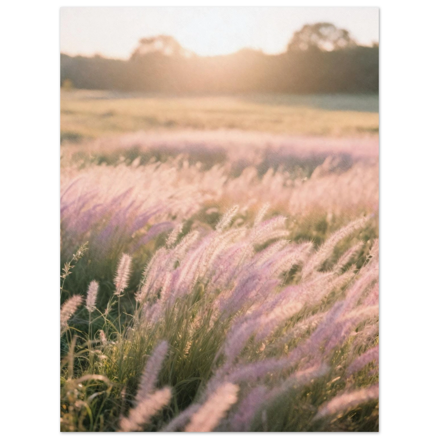 2188bca0-cf98-49c5-b7f7-88a5211149d3