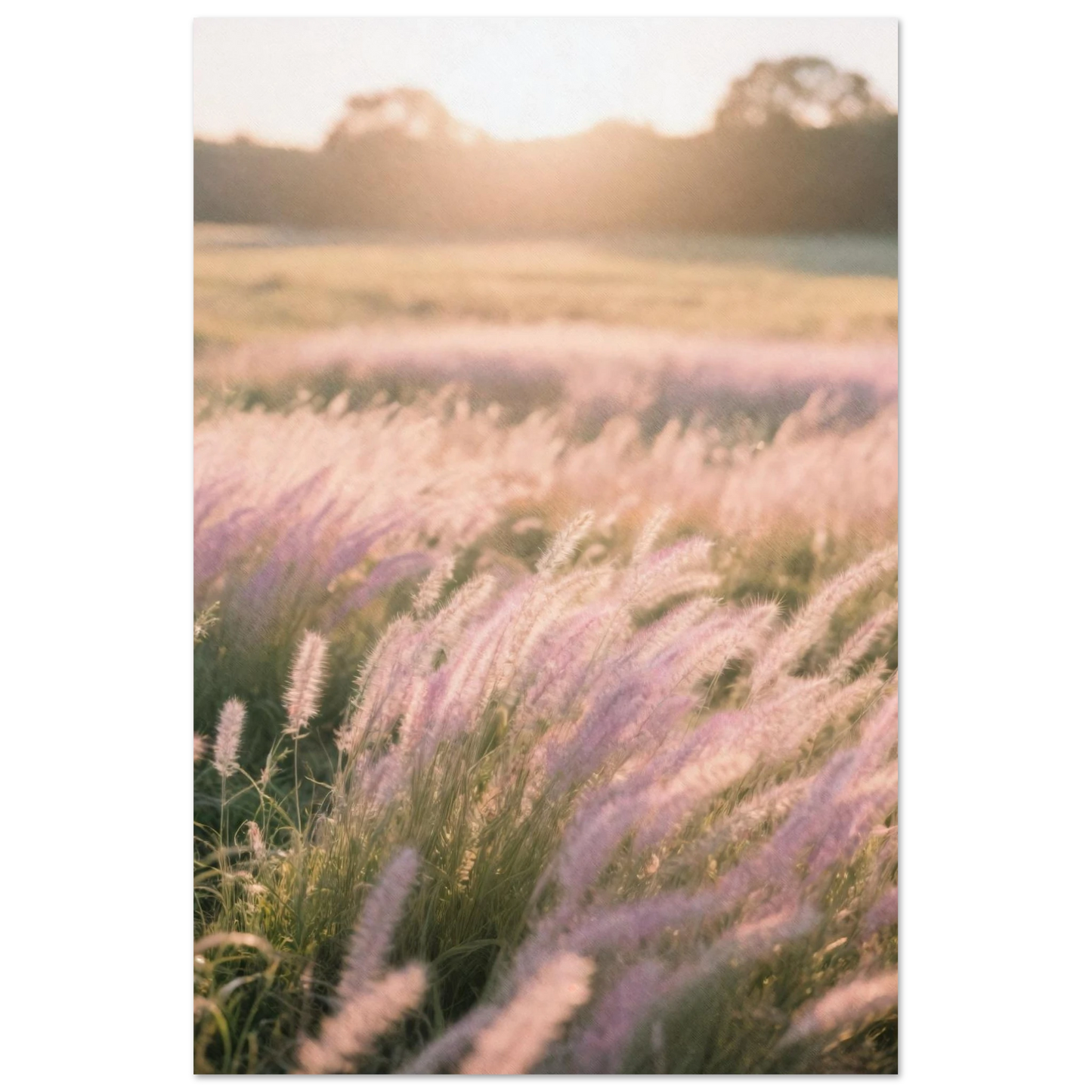 2e1d4955-9aed-40e5-8440-9b7579fc2b8c