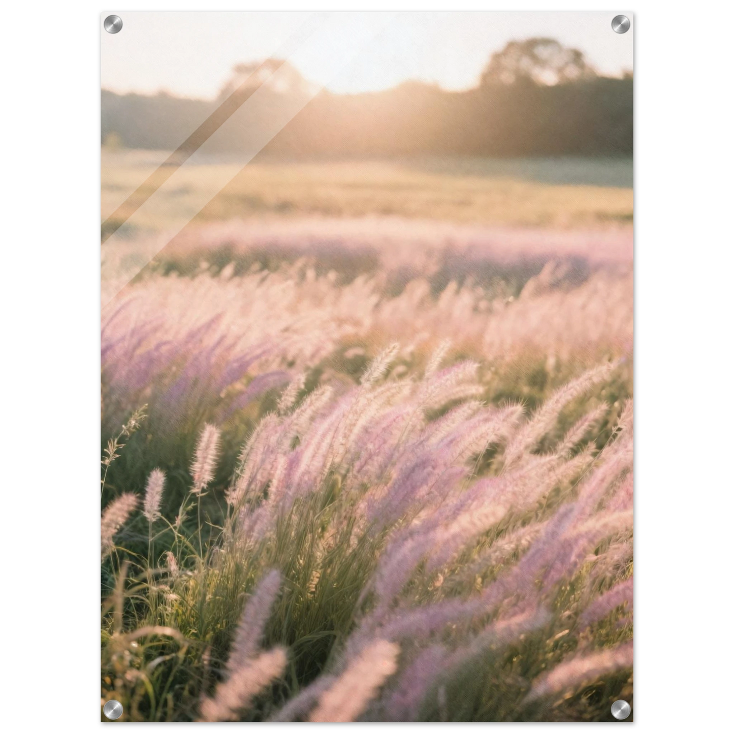 2f7610dc-f772-49b7-b499-dffc5cf255b4