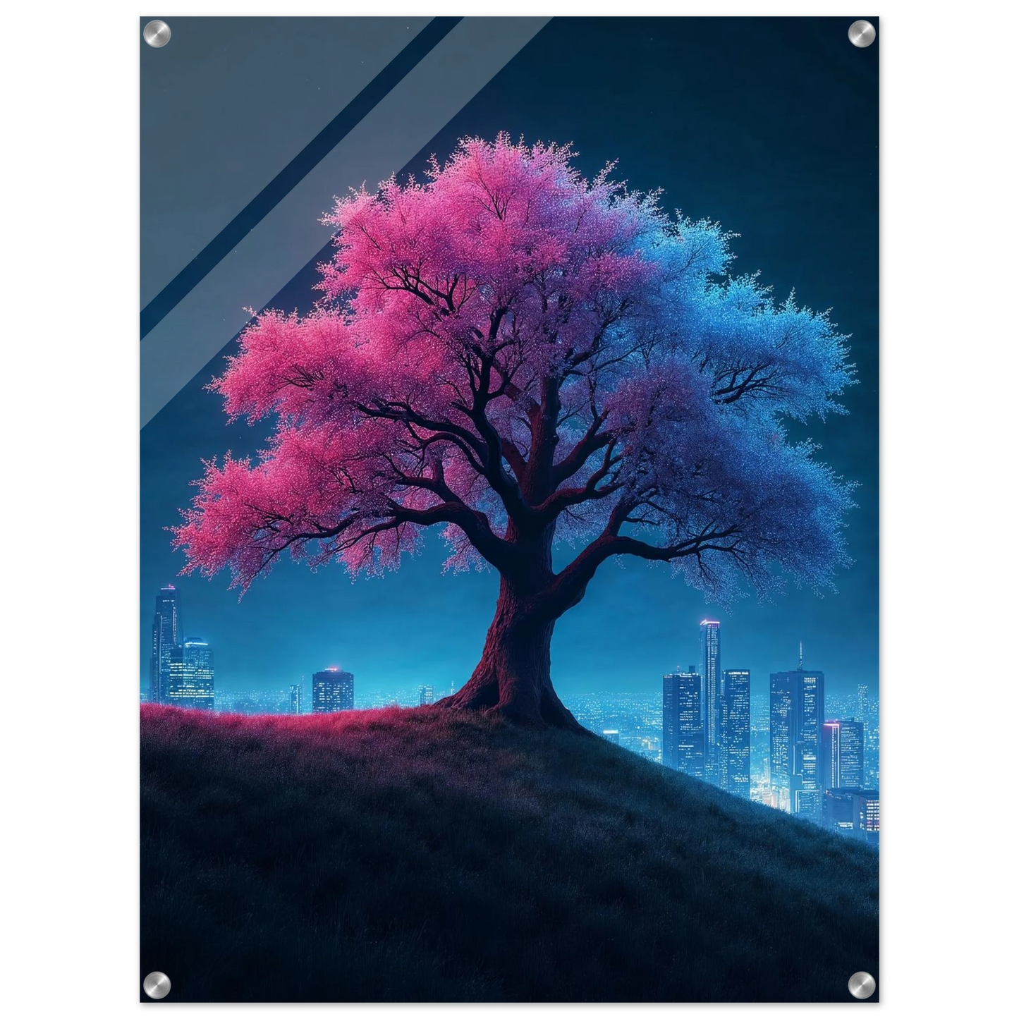 378cc5ae-6ff2-4277-b865-902b2628105a