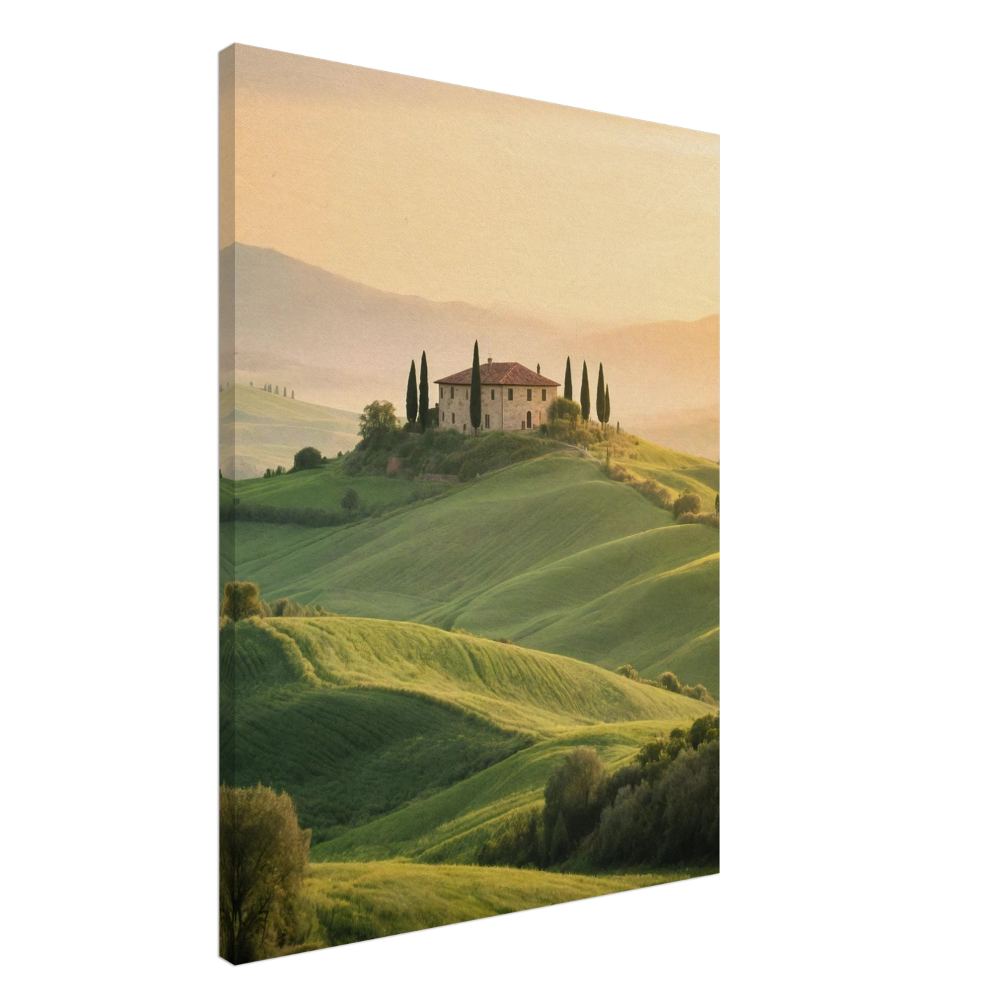 3ad019d8-7b53-48fa-b6bc-aaf1eadeaff9