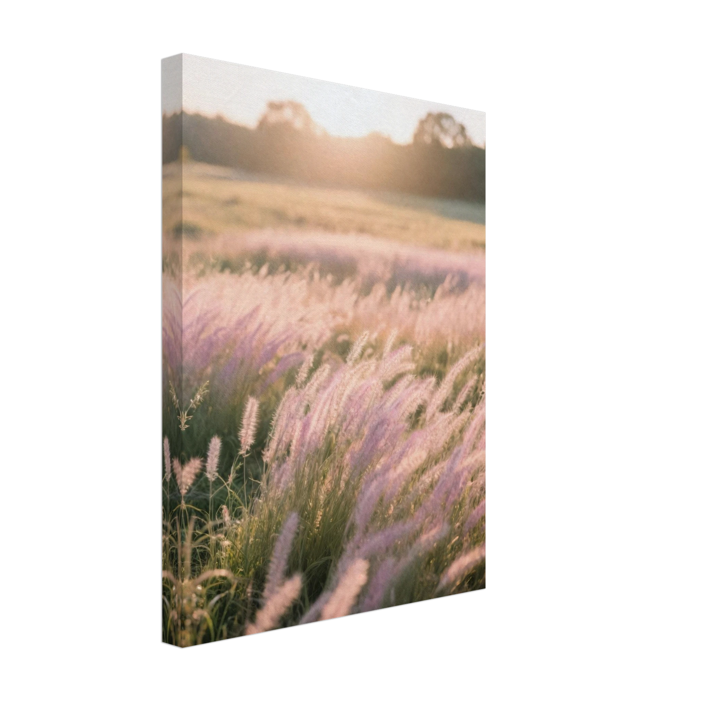 41d6ad99-23f0-4542-a040-7e4bde705b42