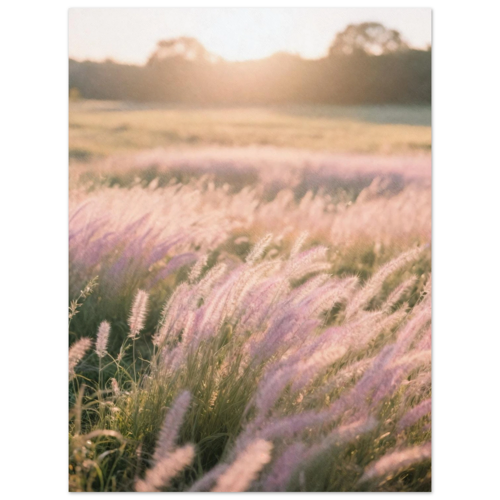 446c6432-a9dd-4c24-8b22-4ec455389af3