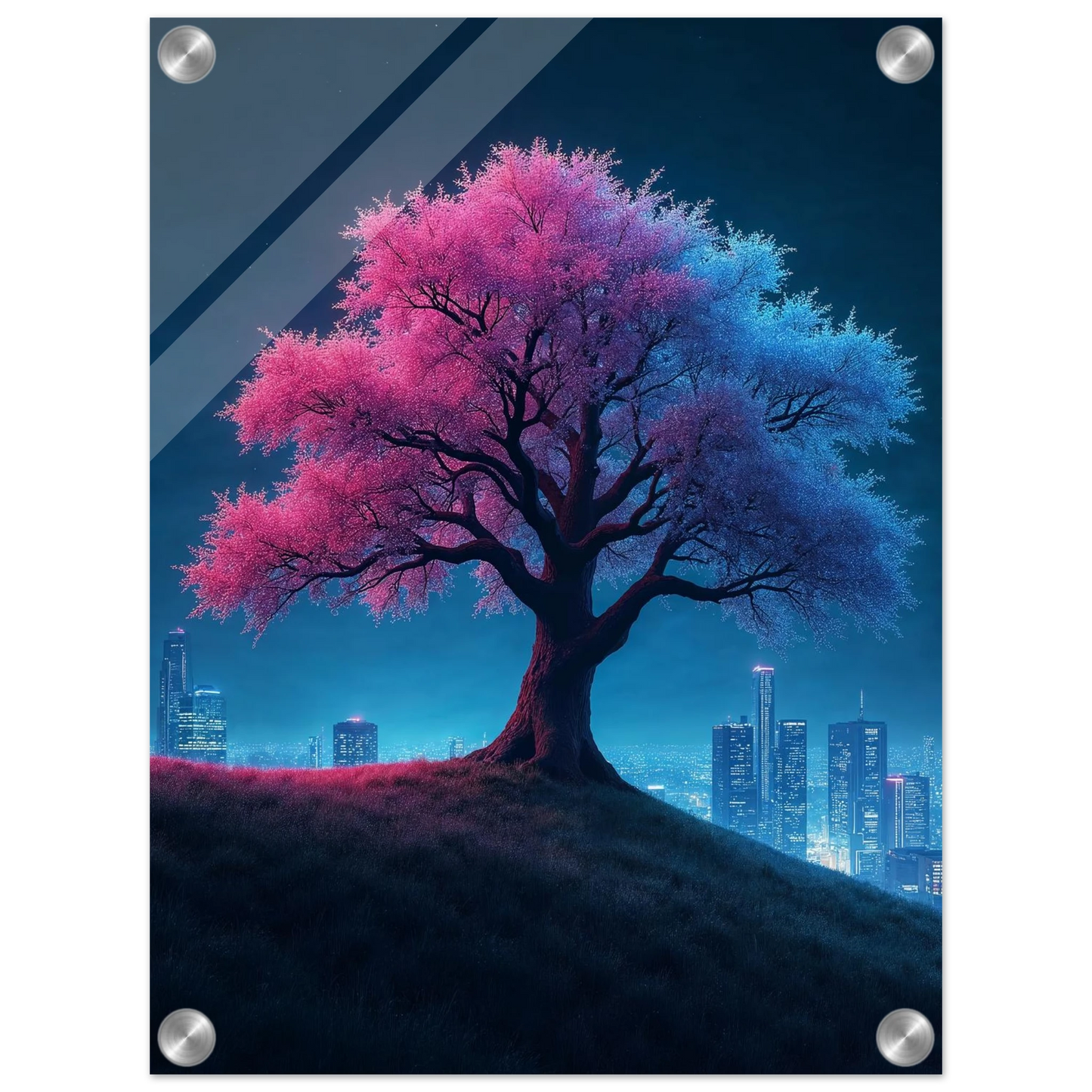 50014dcd-0af5-4efd-9fdb-7bc68dedb24c