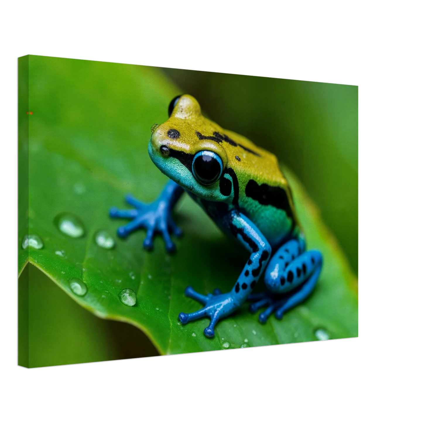 57c7594b-b93e-41de-95b6-8264472bb346