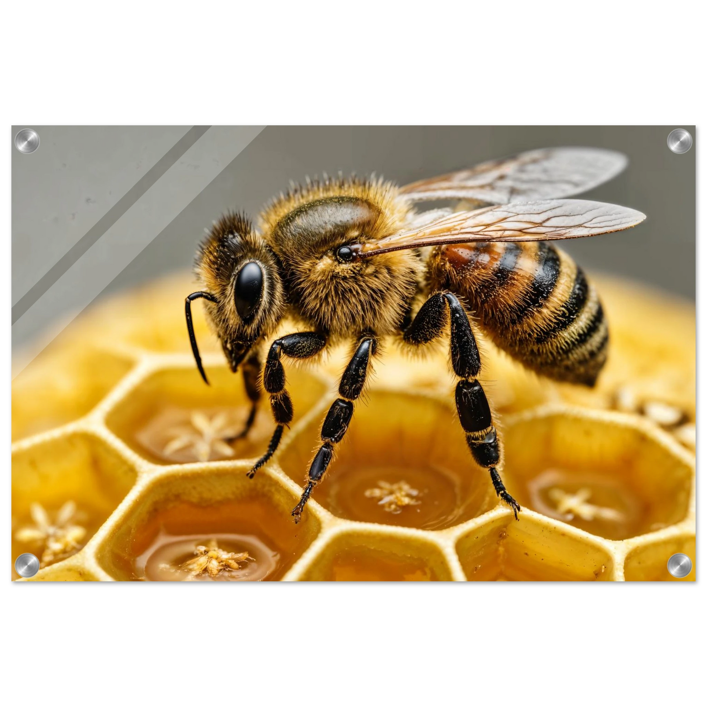 5926213c-1009-44a0-9195-bb1d46669345