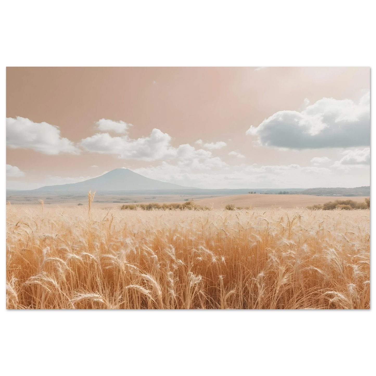 5a43f1c1-d254-4d2e-99e6-df1d92b74ba3