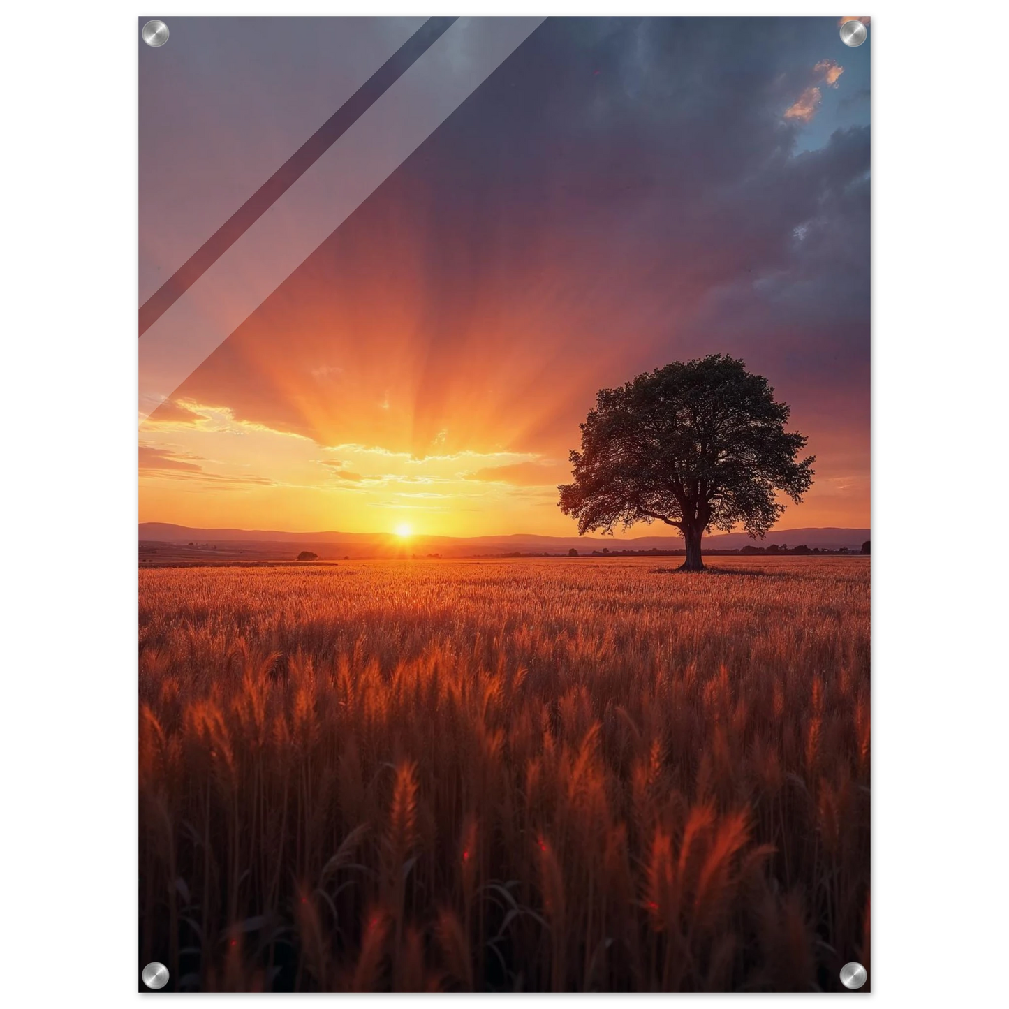 5a9a4f34-4823-4f8f-a5dd-1bd4328bd6a1