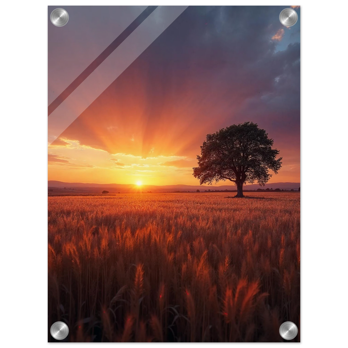 5ac4ab0f-d4f1-4369-9674-1efe97f3a87a