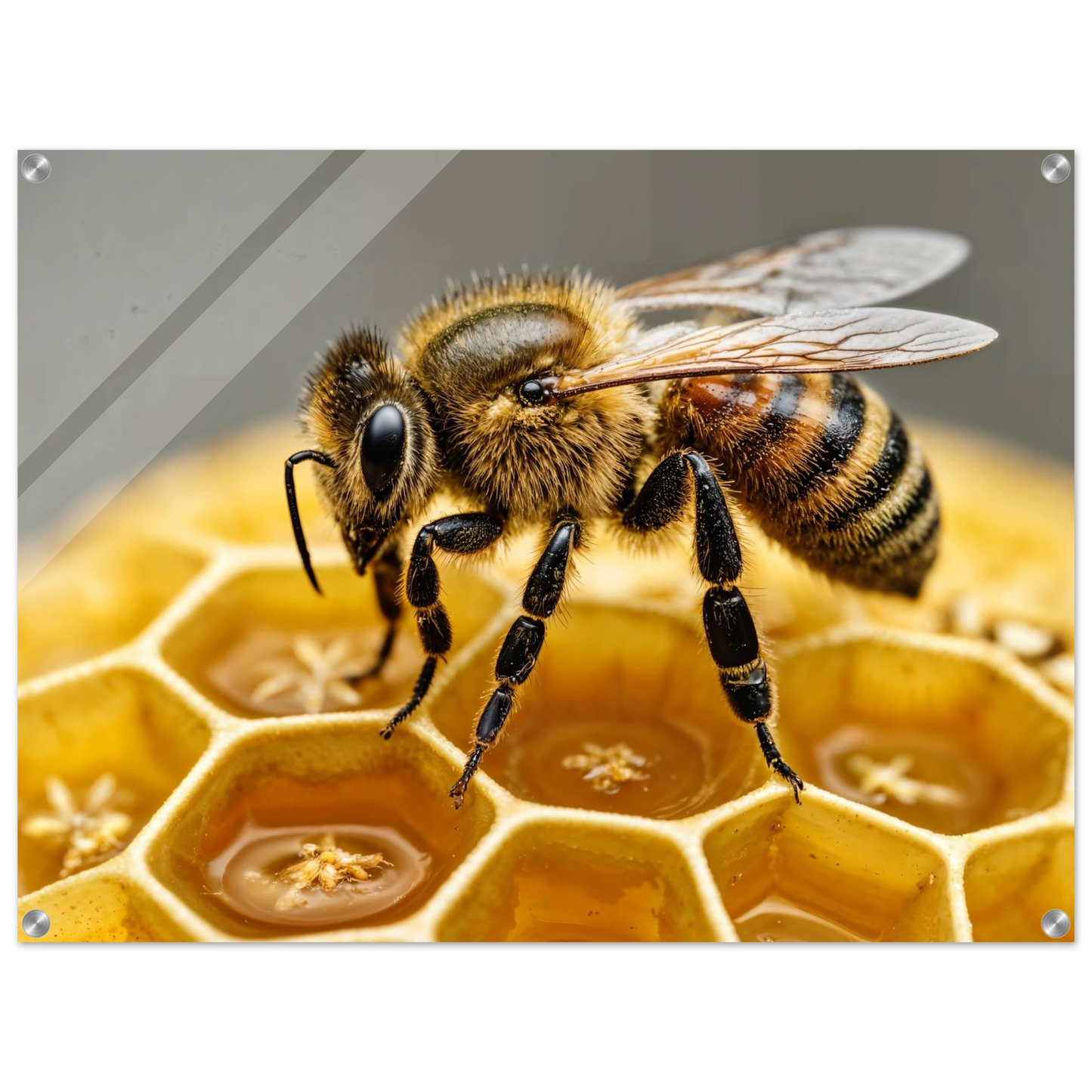 5d7325ea-c2da-4d5c-90be-5462b31e51f7