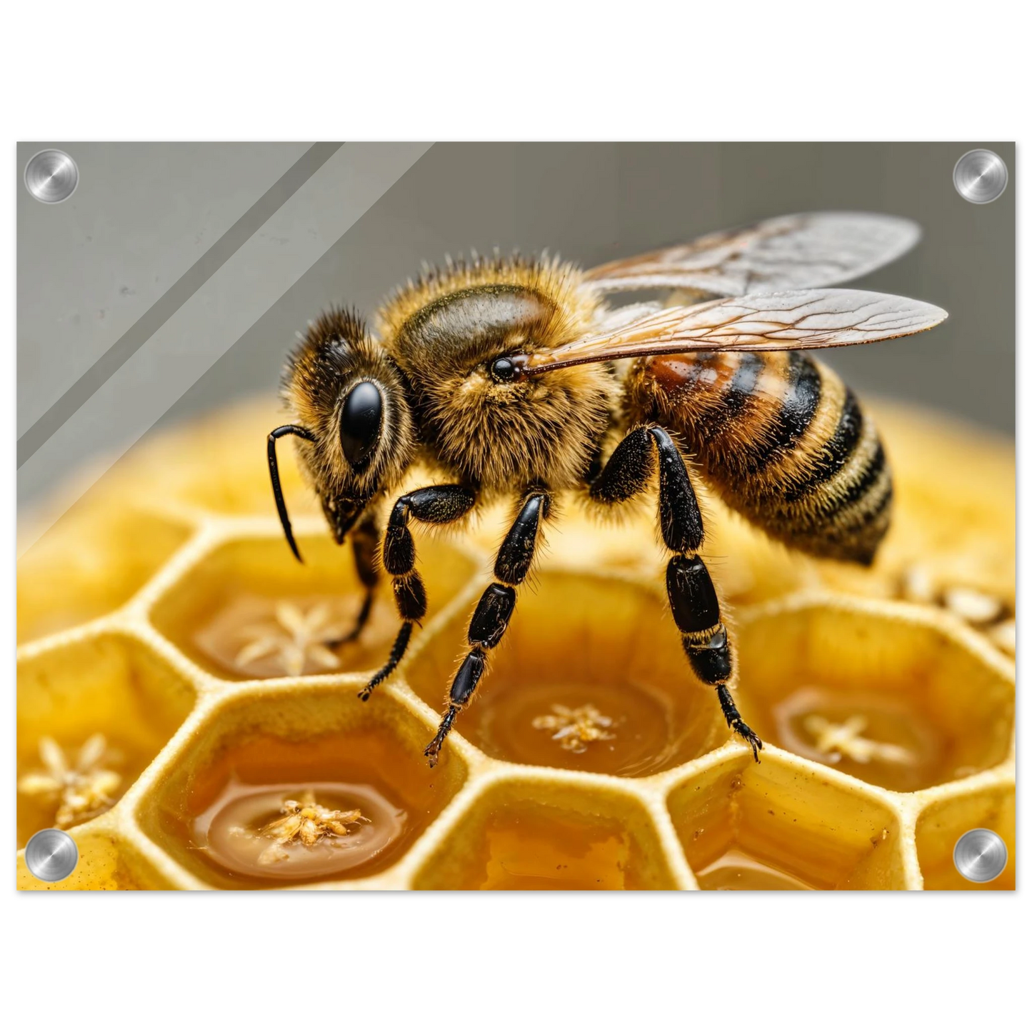 5fa6c2ca-c187-4820-8a4f-26ccdca5a6e1