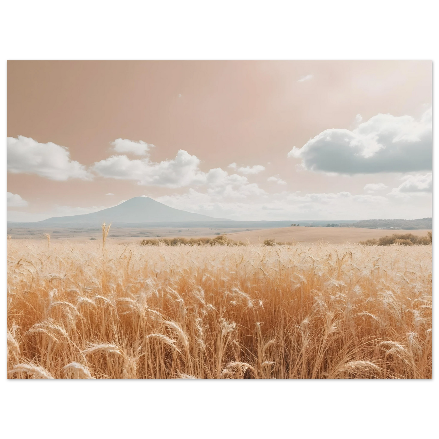 69b2a563-38fc-43d8-aab7-dde05bec6d95