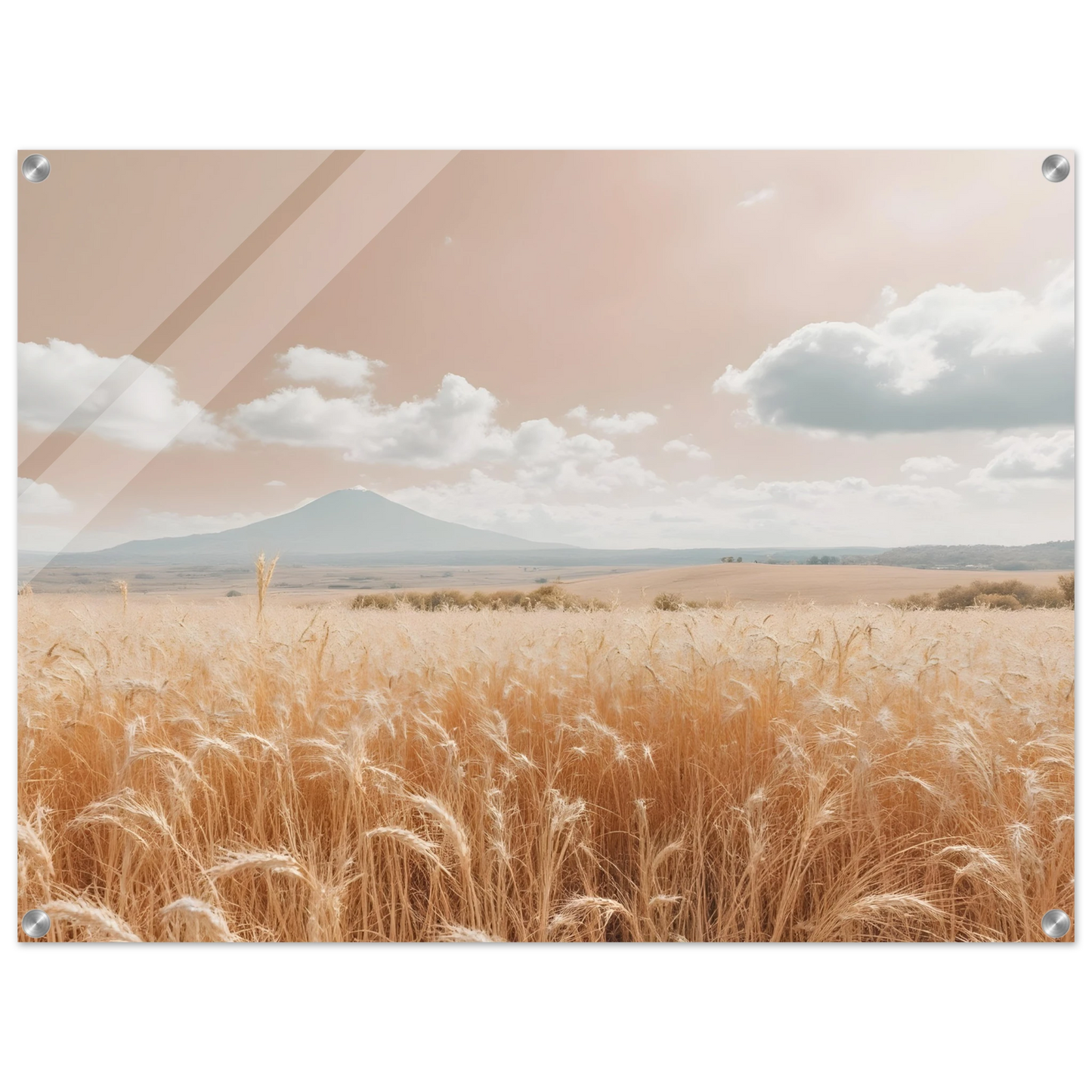 6b7dad2a-948a-4040-9eb8-4e2e98c90cd5