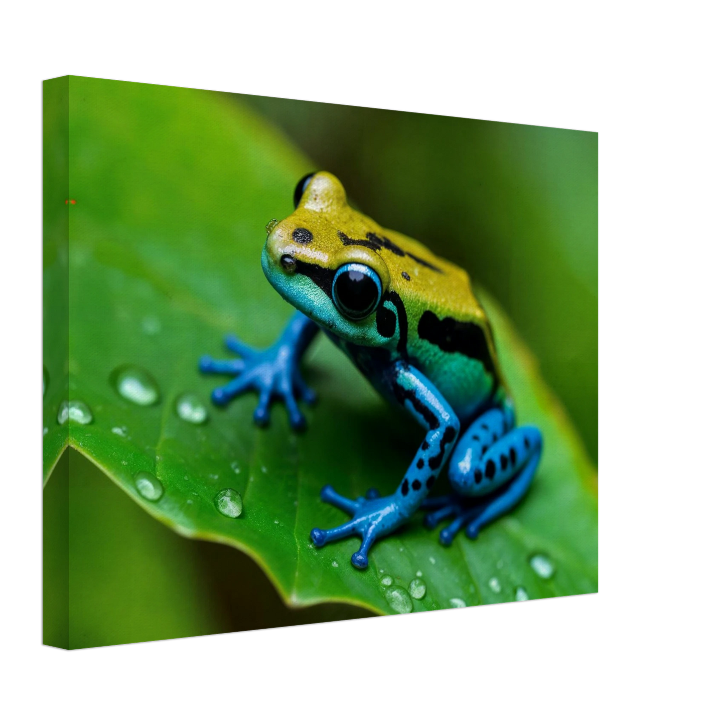 6d7f03f4-6ee7-4a0d-8c5b-5d4e10c7b041