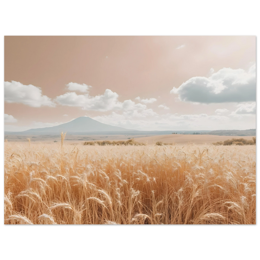 7b433b74-576f-498d-a4c5-534db469acb3