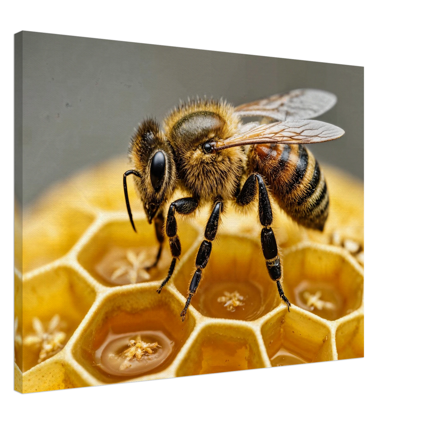 9dda0dd9-6ecd-4ad0-9dd2-efb1741c1492