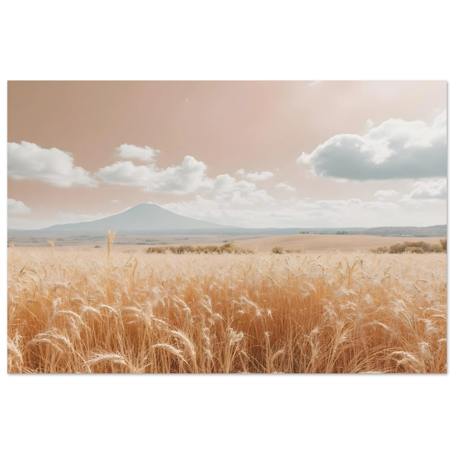 9f4d486c-64b9-47cf-b6b1-bbd6394d1e29