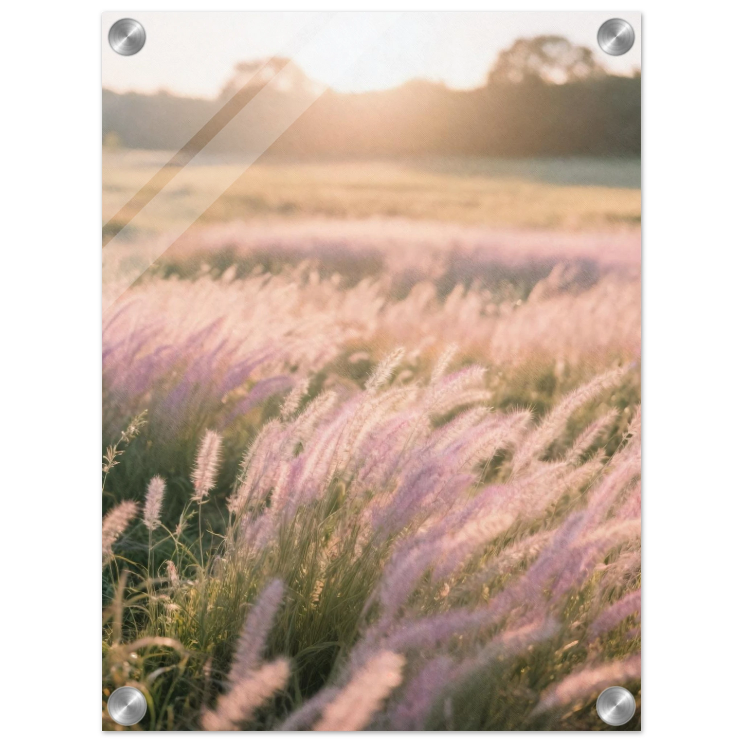 a69068cf-2117-4d08-9449-b87f590d20d3