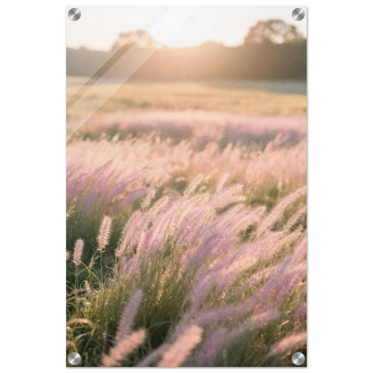 b009d60e-8915-476f-a618-d1e6dca0bea4