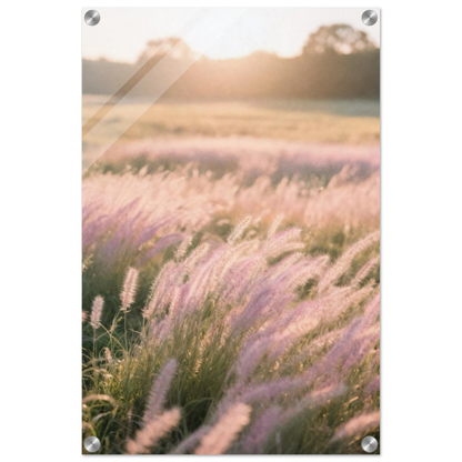 b009d60e-8915-476f-a618-d1e6dca0bea4