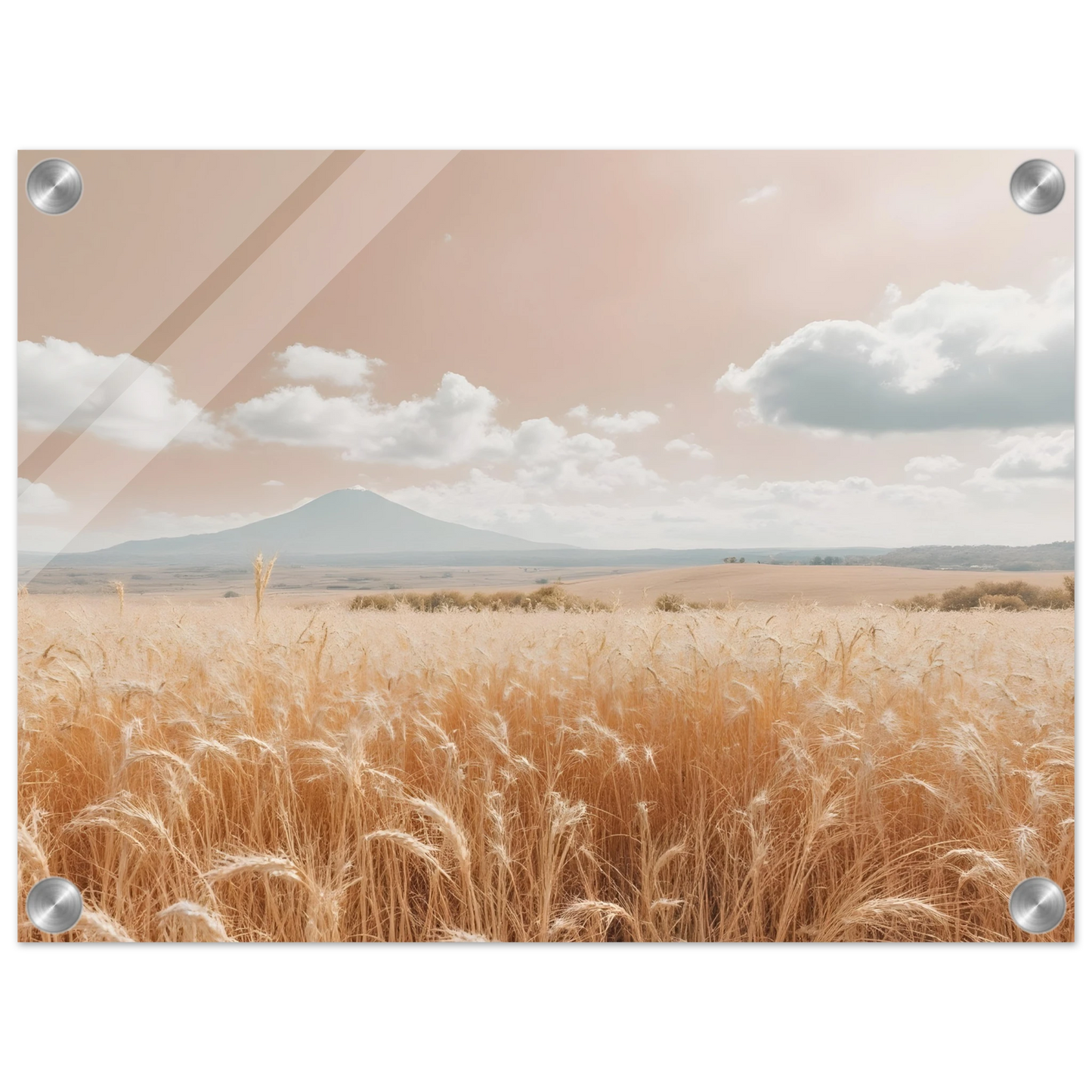 b2026165-9c5b-4925-a6b0-8b30afc1f4c7