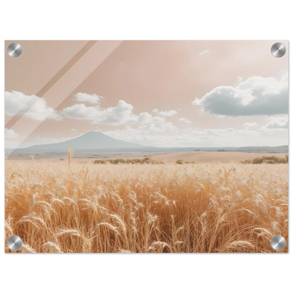 b2026165-9c5b-4925-a6b0-8b30afc1f4c7