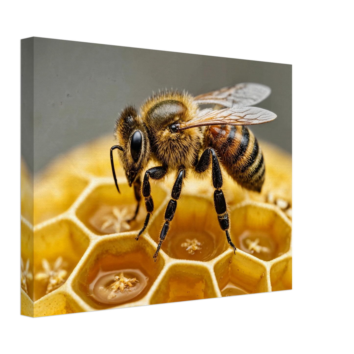 bbbb084a-0217-4cb0-b4df-a0fd06b94509