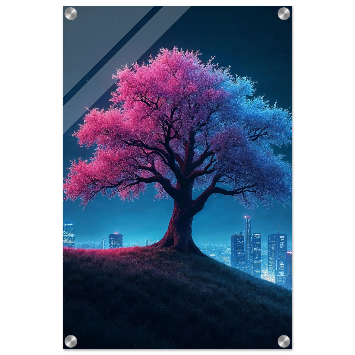 c910858f-12db-4fc0-9477-0803e4967d0d