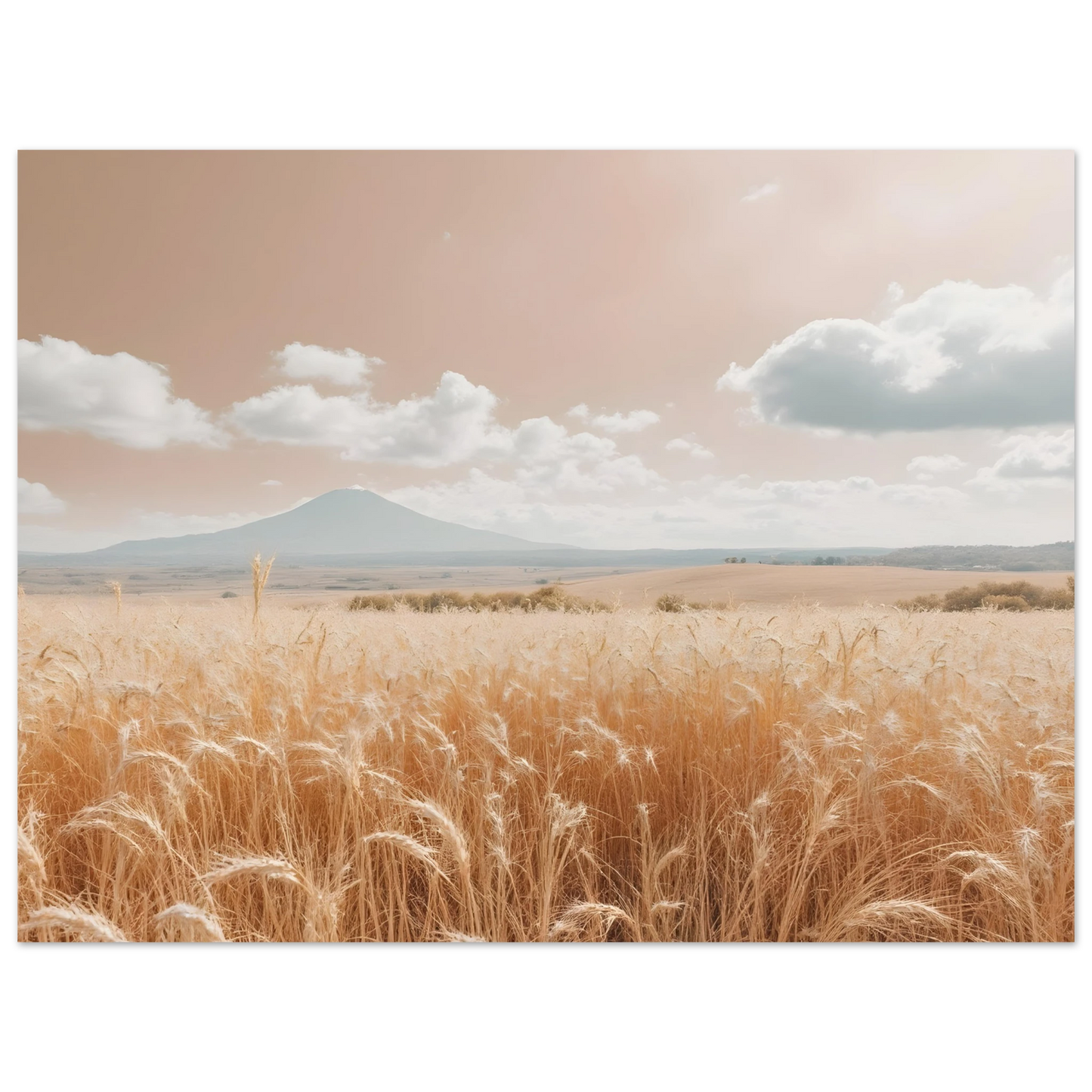 ced4d1aa-1b26-46ec-b76b-1635ff5a3aac