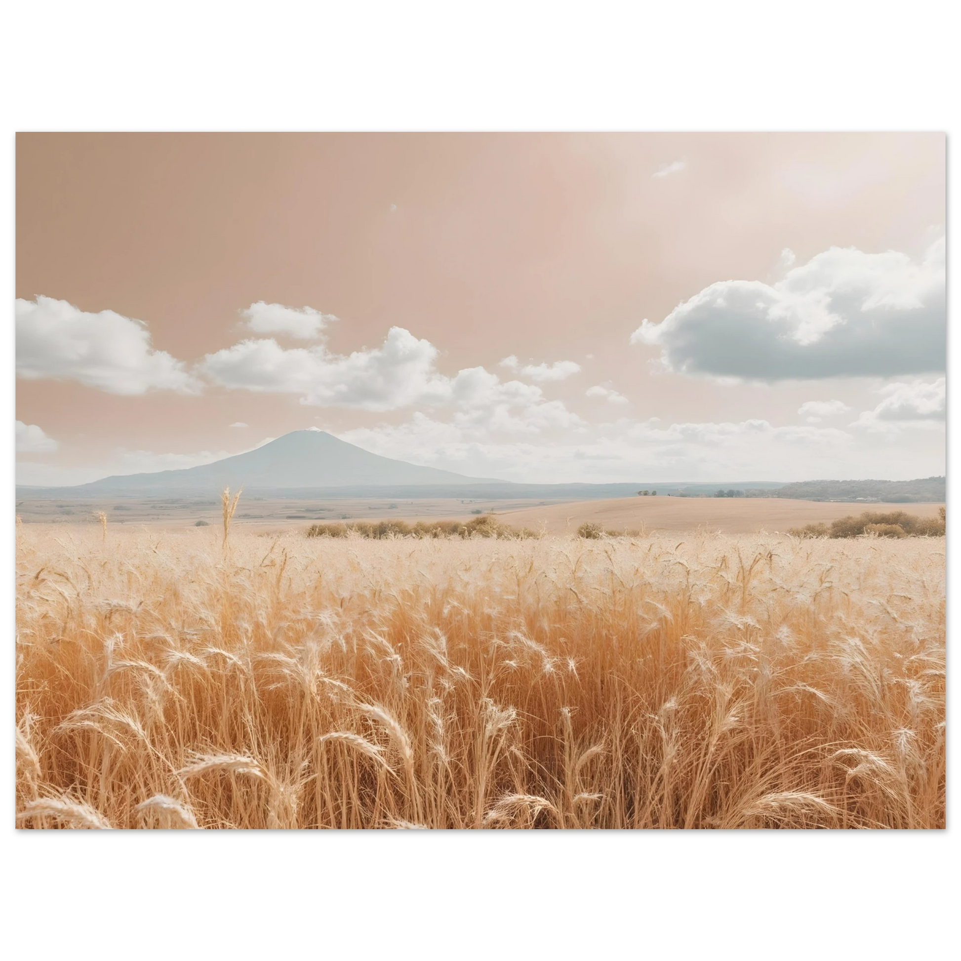 ced4d1aa-1b26-46ec-b76b-1635ff5a3aac