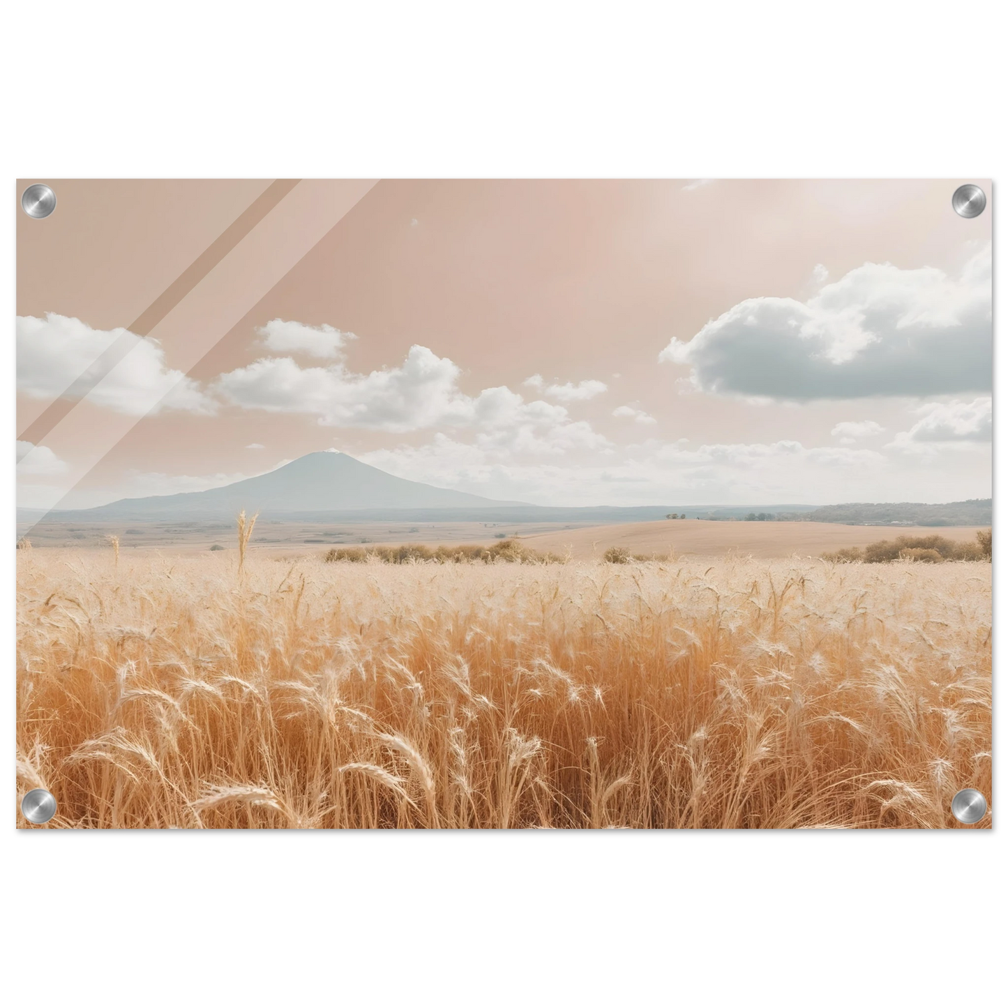 d5f582ad-ebfc-4154-ad91-fa368cf28834