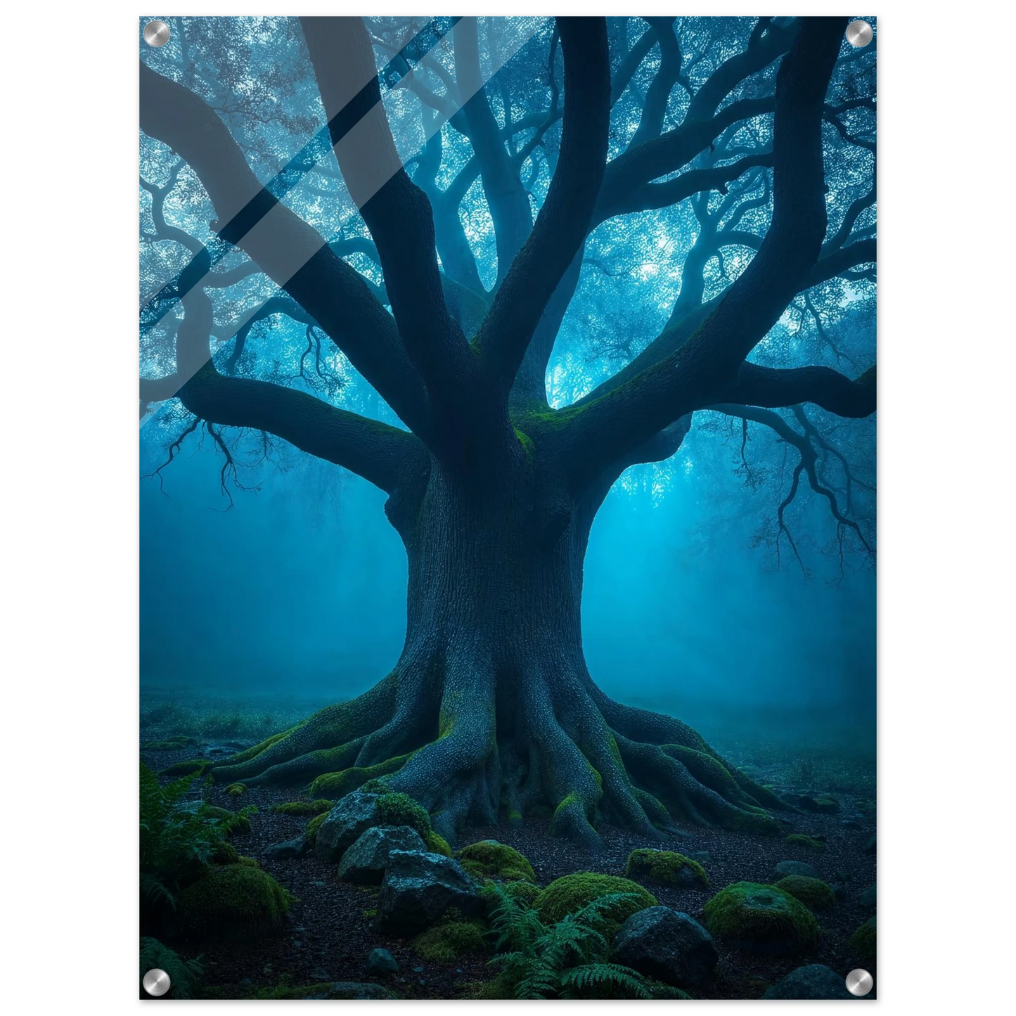 d77a80d6-adda-44ff-ab76-d0349226acd8