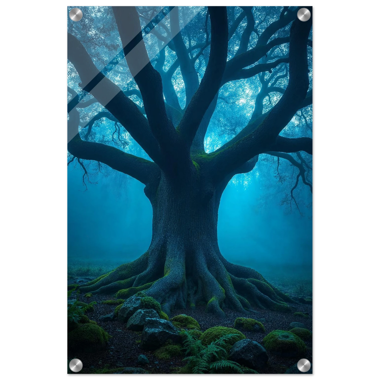 dcda0777-91a0-4448-b71e-d6e6b4b8b921