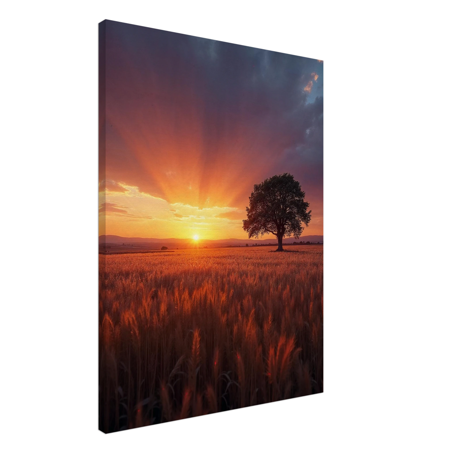 e11a5eb3-d1e0-45d3-8b92-a7798a814372