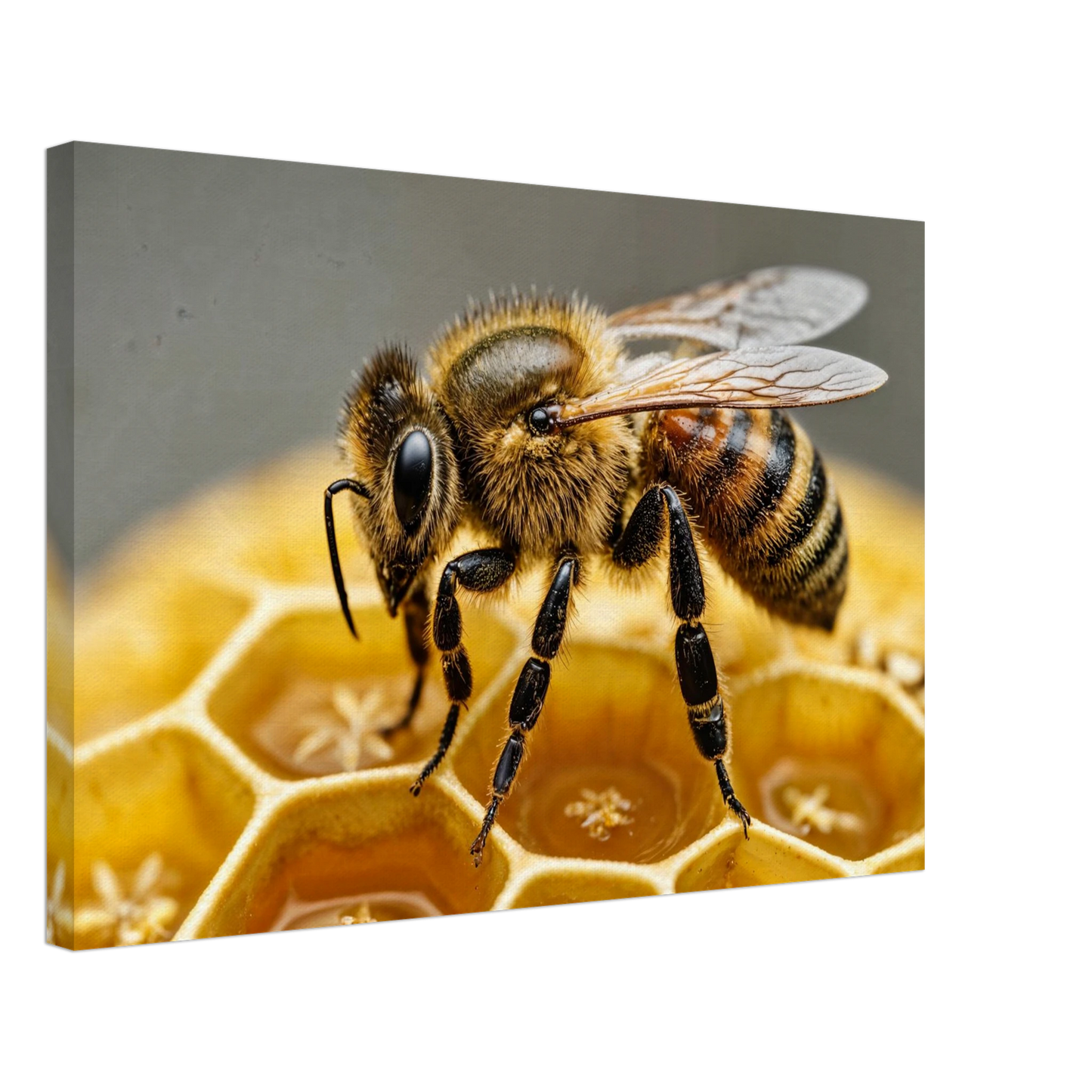 f855ab30-206f-4519-9dde-4f4686e3e6b8