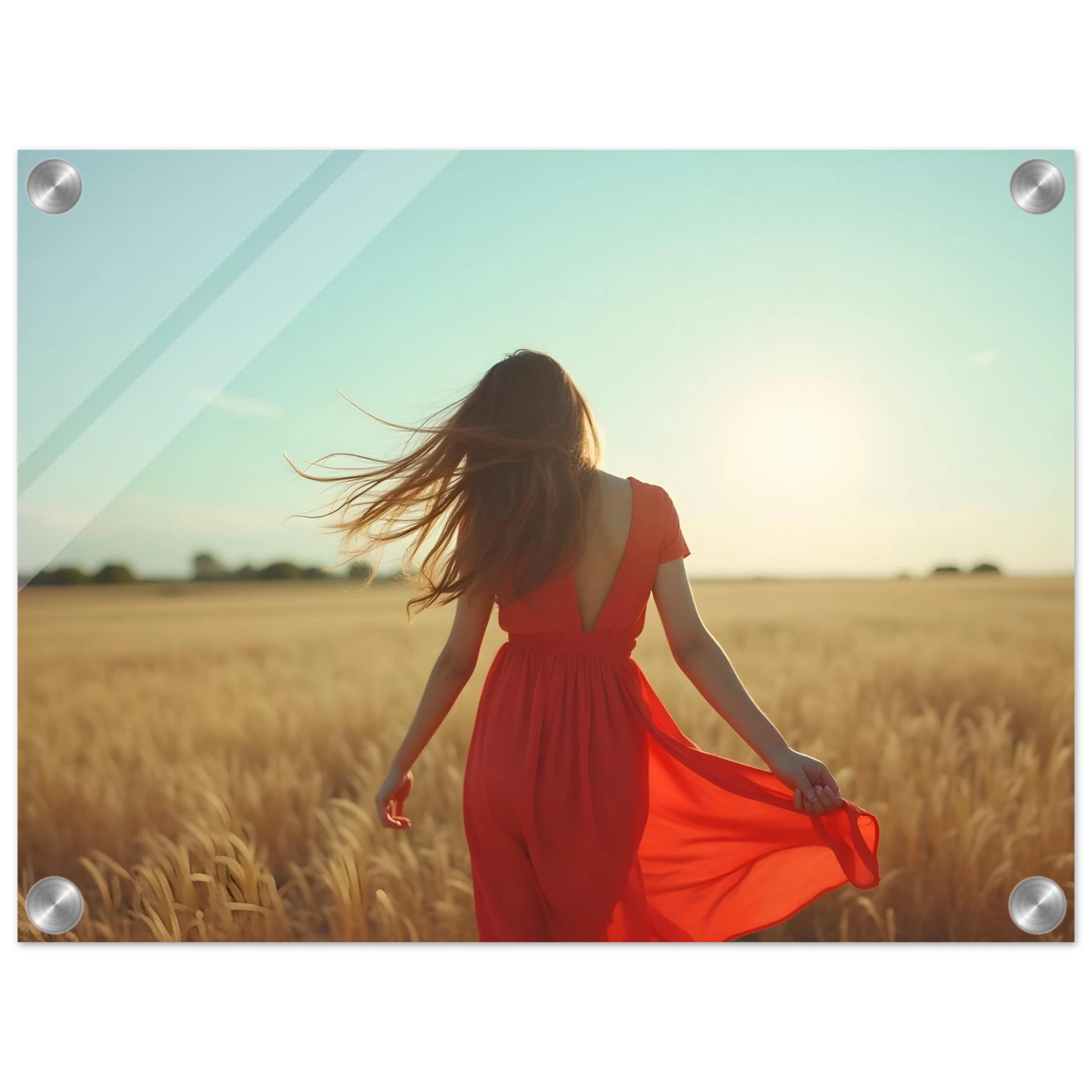 fd2e6e72-bd2d-42b1-9455-80df123b1295